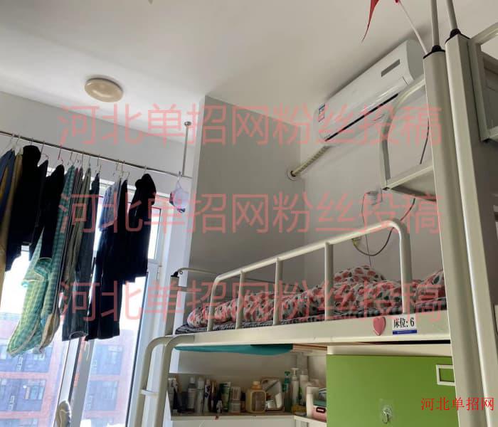 9599九五至尊老品牌新手怎么玩客服