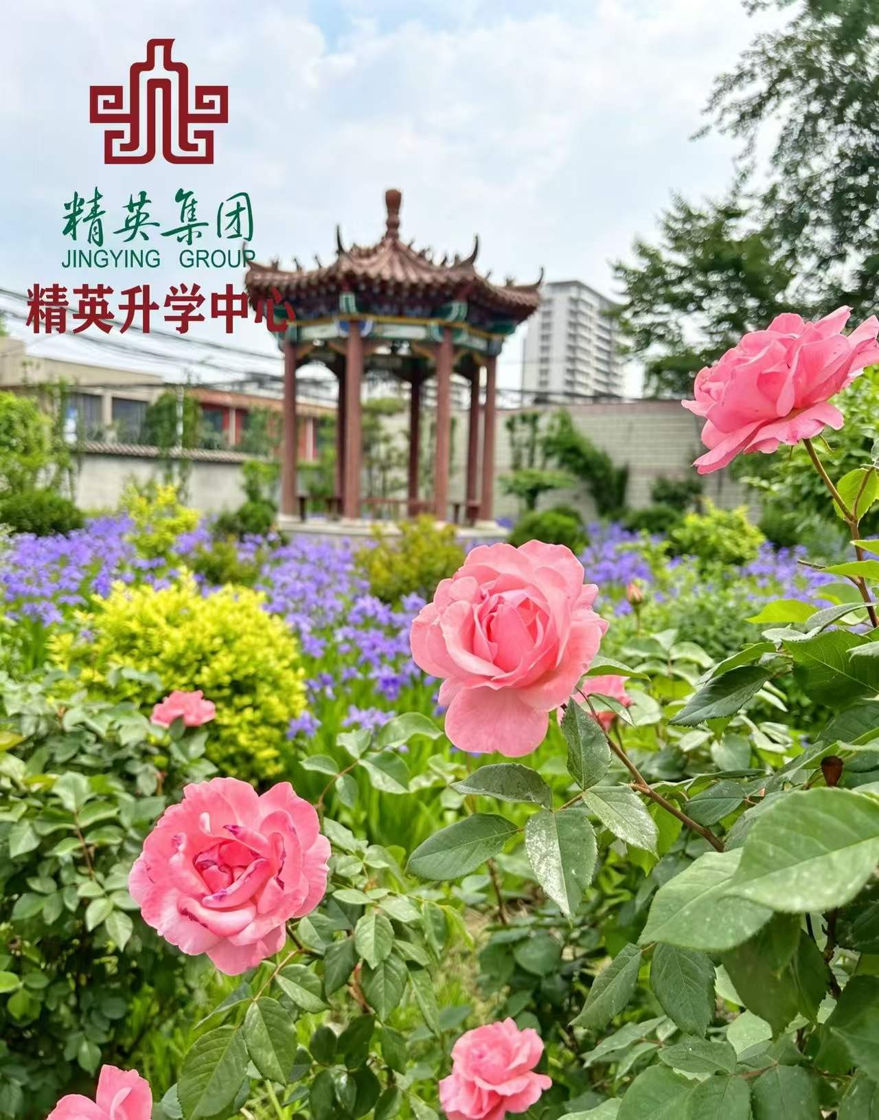 蓄力单招备考的黄金时机